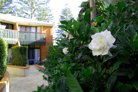 The Crest Byron Bay - Accommodation Gold Coast 29