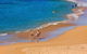 Seabreeze @ Mona Vale - thumb 16