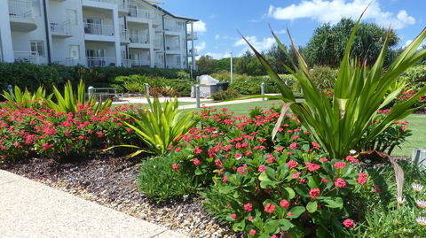 SaltBeach2302 - Gold Coast 4U 1