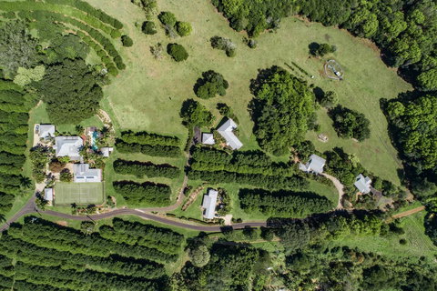 Byron Hinterland Villas - Accommodation Gold Coast 17