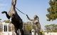 The William Inglis Mgallery - thumb 24