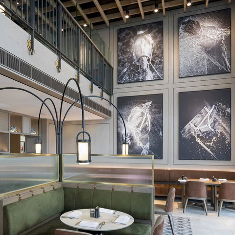 The William Inglis Mgallery - Gold Coast 4U 8