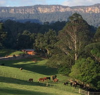 Amaroo Valley Springs - Accommodation Gold Coast