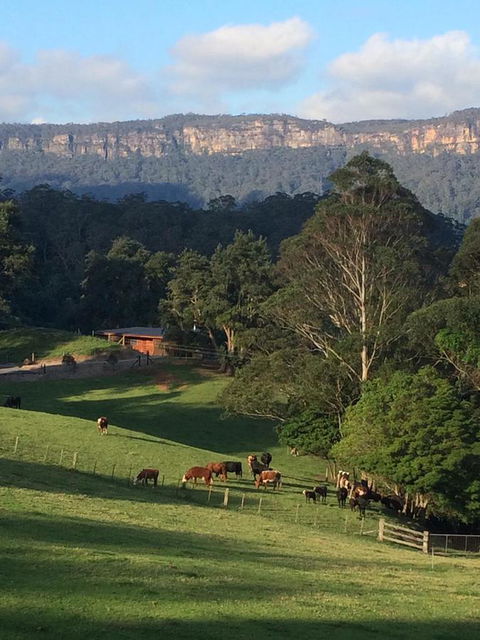 Amaroo Valley Springs - Accommodation Gold Coast 0