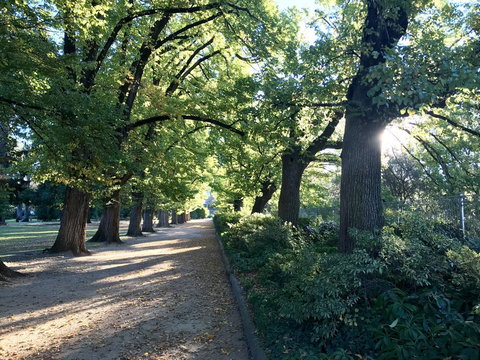 The Botanical 201 - Accommodation Gold Coast 17