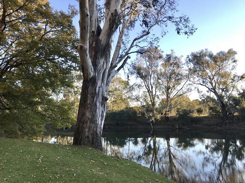 The Botanical 201 - Accommodation Gold Coast 18