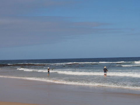 Bundle Hill Cottages - Gold Coast 4U 10