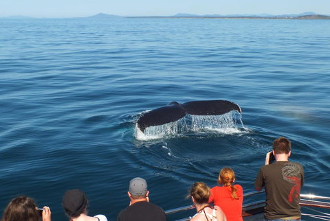 Pacific Marina Apartments - Accommodation Gold Coast 34