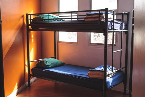Mad Monkey Kings Cross - Accommodation Gold Coast 29