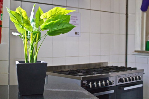 Mad Monkey Kings Cross - Accommodation Gold Coast 19
