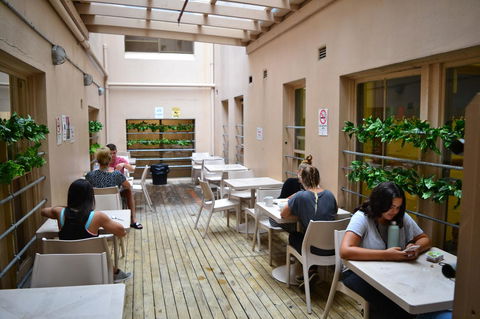 Maze Backpackers - Sydney - Gold Coast 4U 3