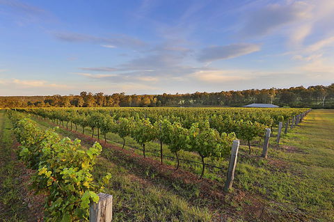 Ironstone Estate Lovedale - Accommodation Gold Coast 31