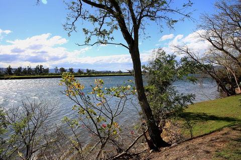 Terara Riverside Retreat - Accommodation Gold Coast 27