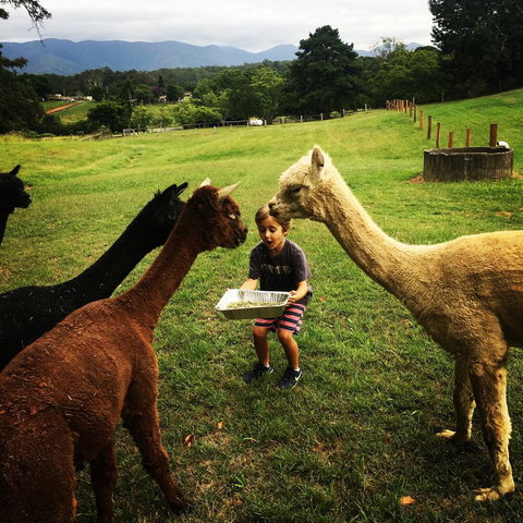 The Lodge Bellingen - Accommodation Gold Coast 44