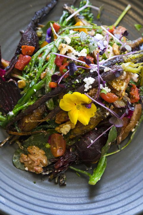 Sage Hotel Wollongong - Gold Coast 4U 21