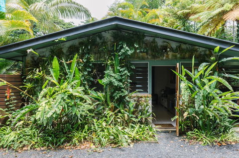 Sanctuary In The Pocket - Gold Coast 4U 15