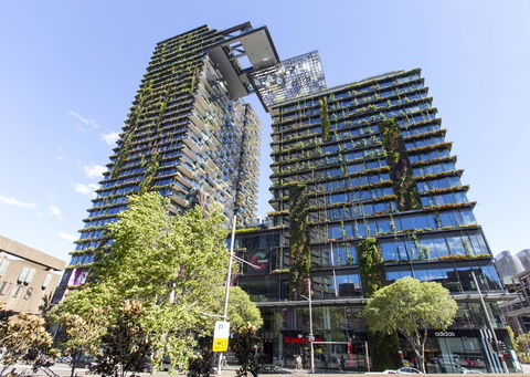Comfortable Apartment In Central Sydney - Gold Coast 4U 10