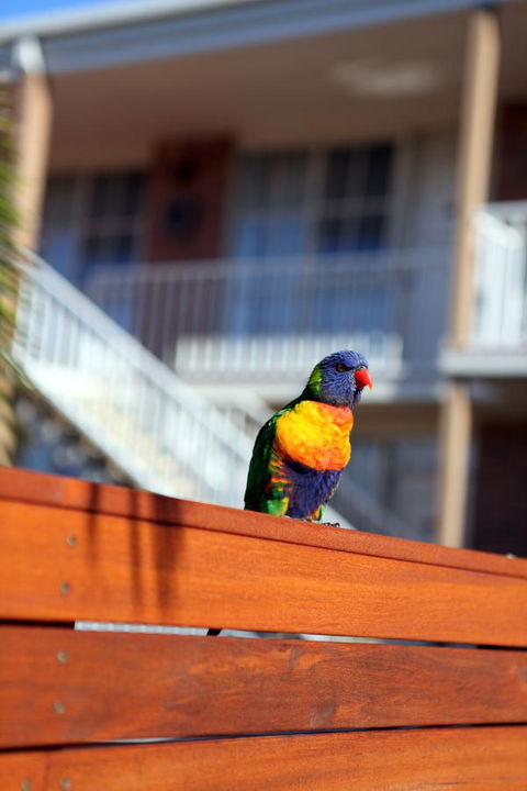 Summerhill Motor Inn - Accommodation Gold Coast 30