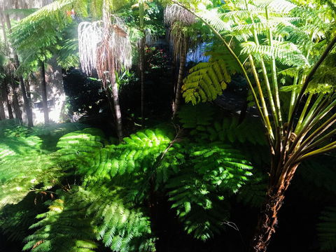 Woollahra Gem, Spectacular Views And Garden Paradise - Gold Coast 4U 34