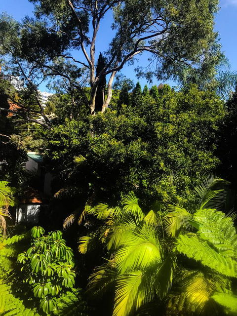 Woollahra Gem, Spectacular Views And Garden Paradise - Gold Coast 4U 31