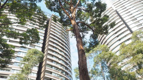 SkyGarden Sydney Olympic Park 3 & 4 Bedroom City View - Gold Coast 4U 33