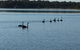 Swan Bay Hideaway - thumb 7