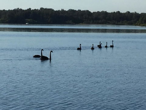 Swan Bay Hideaway - Gold Coast 4U 7