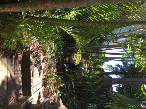 Swan Bay Hideaway - Gold Coast 4U 9