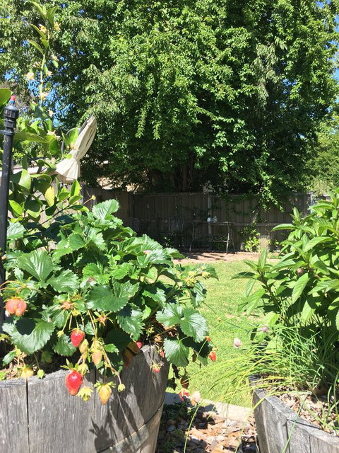 99 Hill Street Apartments - Accommodation Gold Coast 24