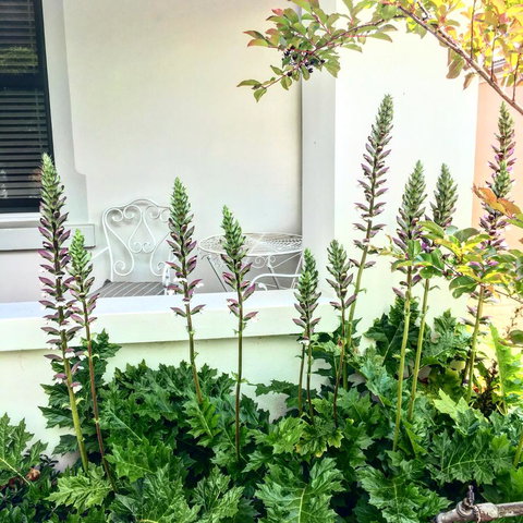 99 Hill Street Apartments - Accommodation Gold Coast 20