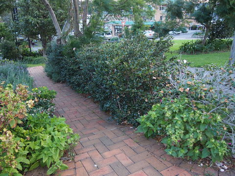 Bellevue Accommodation - Gold Coast 4U 22