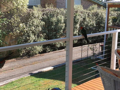 The Best Exotic Magnolia Cottage - Accommodation Gold Coast 15