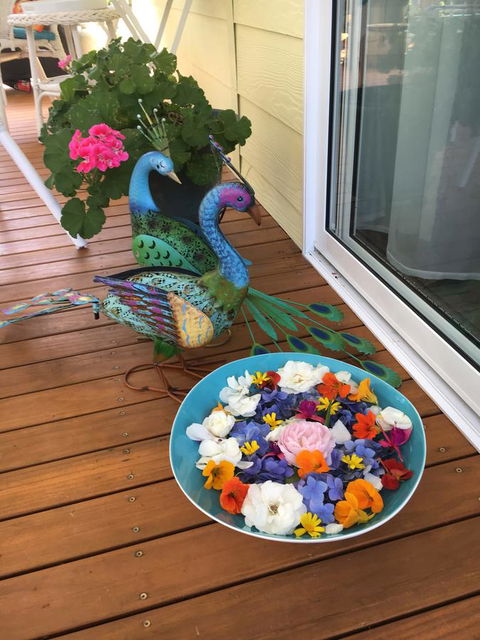 The Best Exotic Magnolia Cottage - Accommodation Gold Coast 8