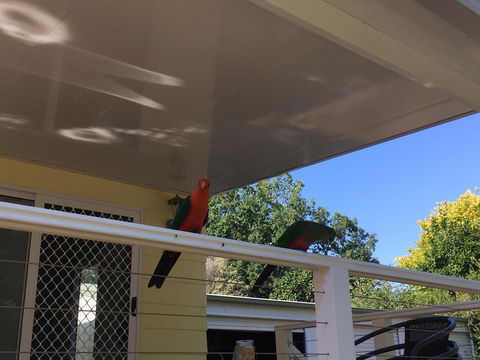 The Best Exotic Magnolia Cottage - Accommodation Gold Coast 11