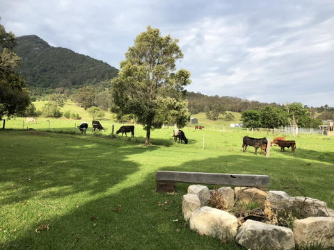 Arcadia - The Barn Cottage & Rosehill Cottage - Accommodation Gold Coast 29