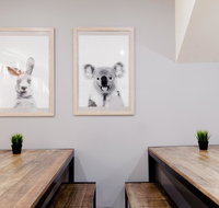 Mad Monkey Backpackers on Broadway - Accommodation Gold Coast