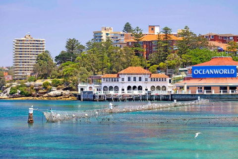 STUNNING MANLY VIEWS - Gold Coast 4U 13