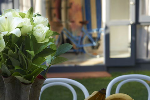 Jet Flamingo - Accommodation Gold Coast 17