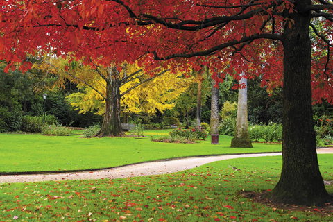 Quest Albury On Townsend - Accommodation Gold Coast 23