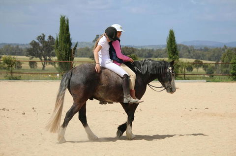 Belisi Farmstay Cottage - Accommodation Gold Coast 28