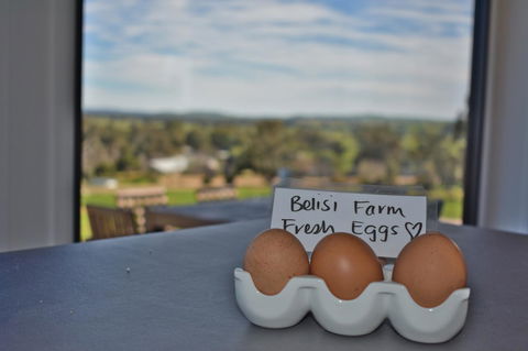 Belisi Farmstay Cottage - Accommodation Gold Coast 20