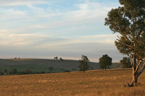 Belisi Farmstay Cottage - Accommodation Gold Coast 33