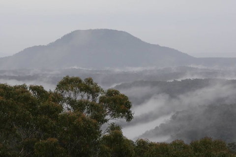 Christopher Tiny House - Accommodation Gold Coast 5