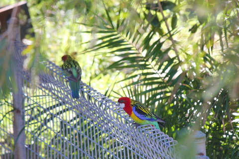 Marty's @ Little Beach - Accommodation Gold Coast 27