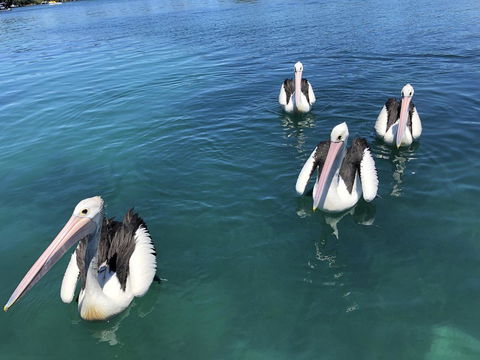 Aquarius 9 - Accommodation Gold Coast 4