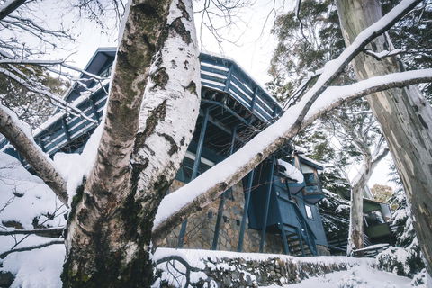 Pure Chalet Thredbo - Accommodation Gold Coast 21
