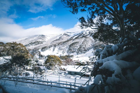Pure Chalet Thredbo - Accommodation Gold Coast 31