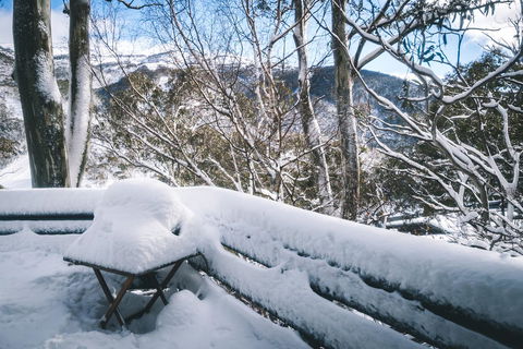 Pure Chalet Thredbo - Accommodation Gold Coast 19