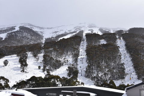 Pure Chalet Thredbo - Accommodation Gold Coast 6