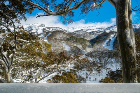 Pure Chalet Thredbo - Accommodation Gold Coast 17